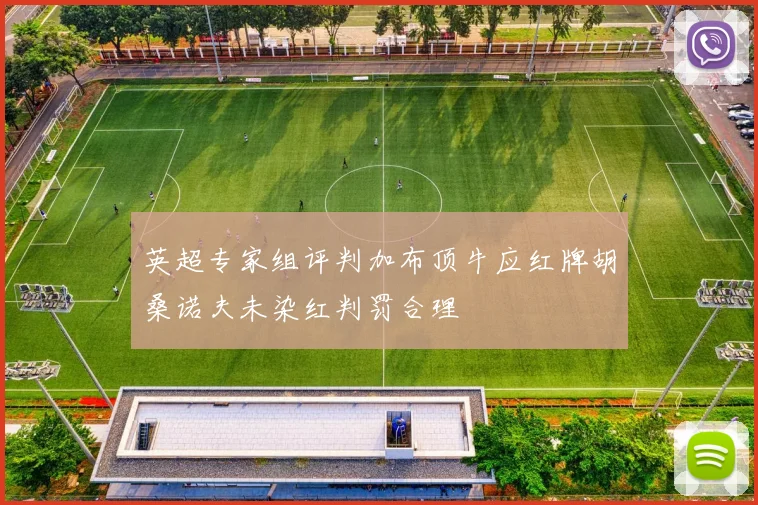 英超专家组评判加布顶牛应红牌胡桑诺夫未染红判罚合理